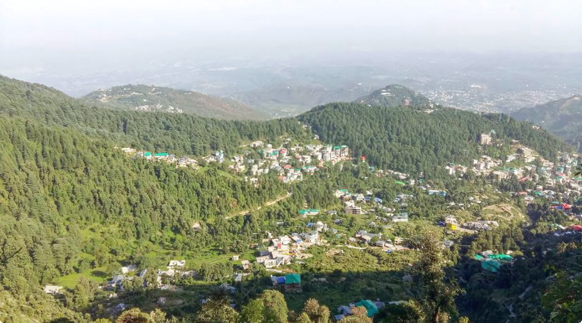 ¿Cuáles son las opciones de vehículos más populares en Dharamsala?